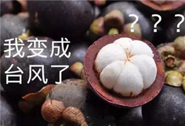 “山竹”還未走遠，但貝朗全自動彎線機已正常上班啦！